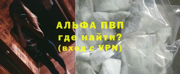прущие грибы Майский