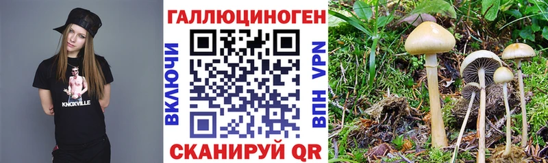 Купить закладки  Данков  Галлюциногенные грибы Cubensis 