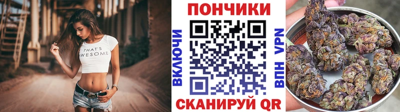 Бошки марихуана индика  Купить закладки  Данков 